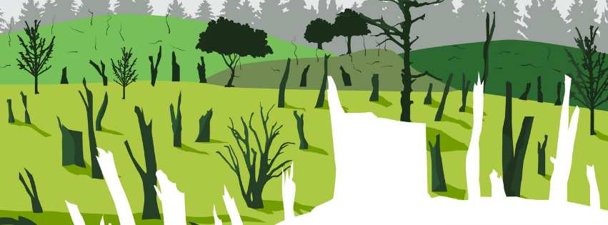 Unpacking the Report: Sustainable Biomass Program: Certifying the Unsustainable