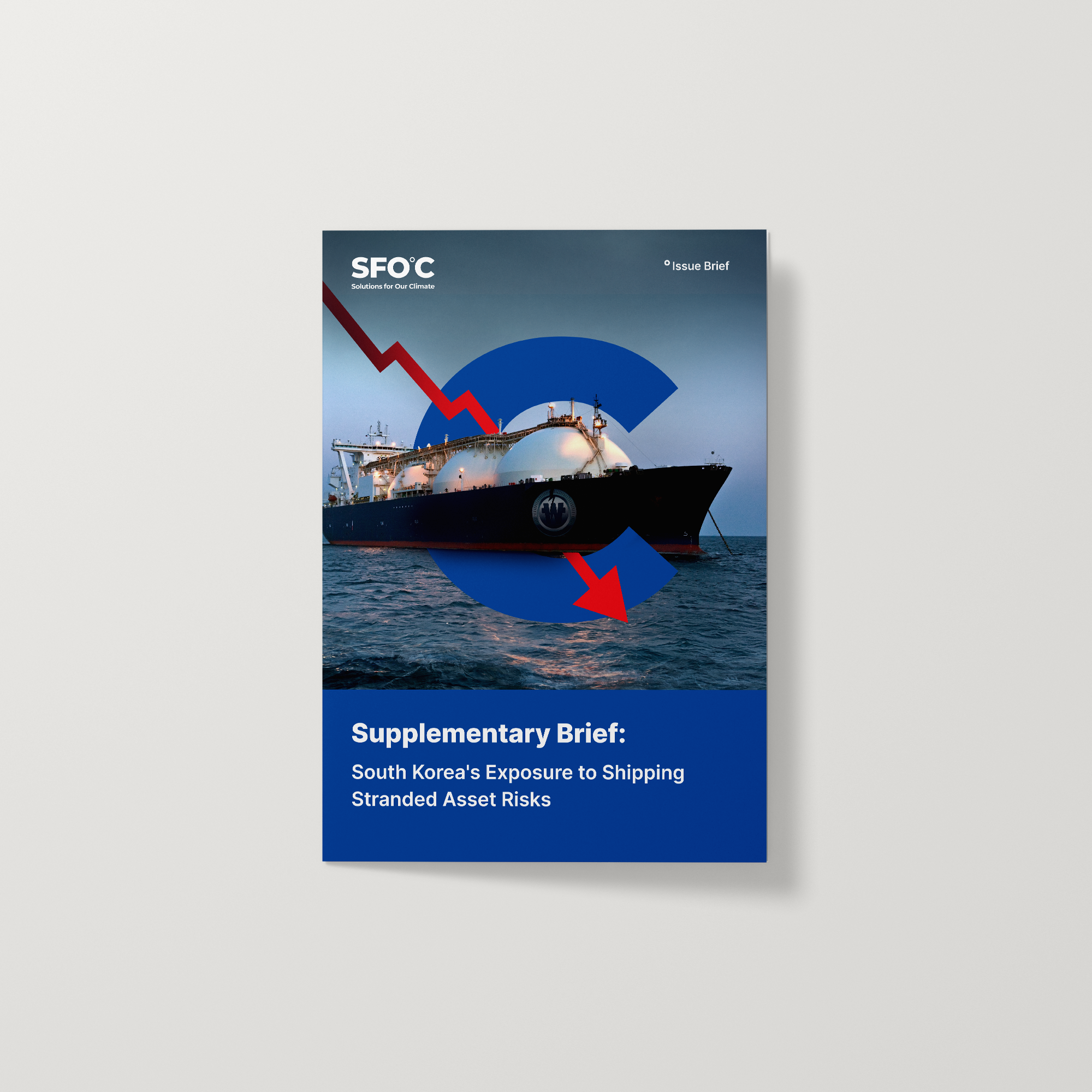 Supplementary Brief: South Korea's Exposure to Shipping Stranded Asset Risks