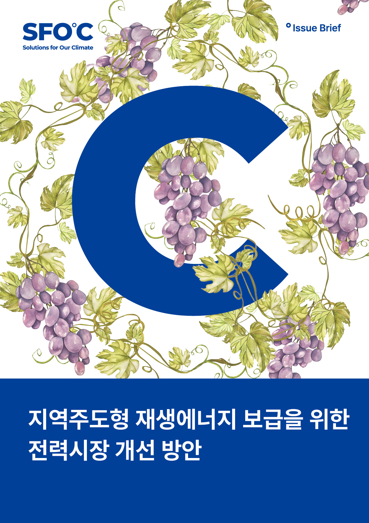 지역주도형 재생에너지 보급을 위한 전력시장 개선 방안