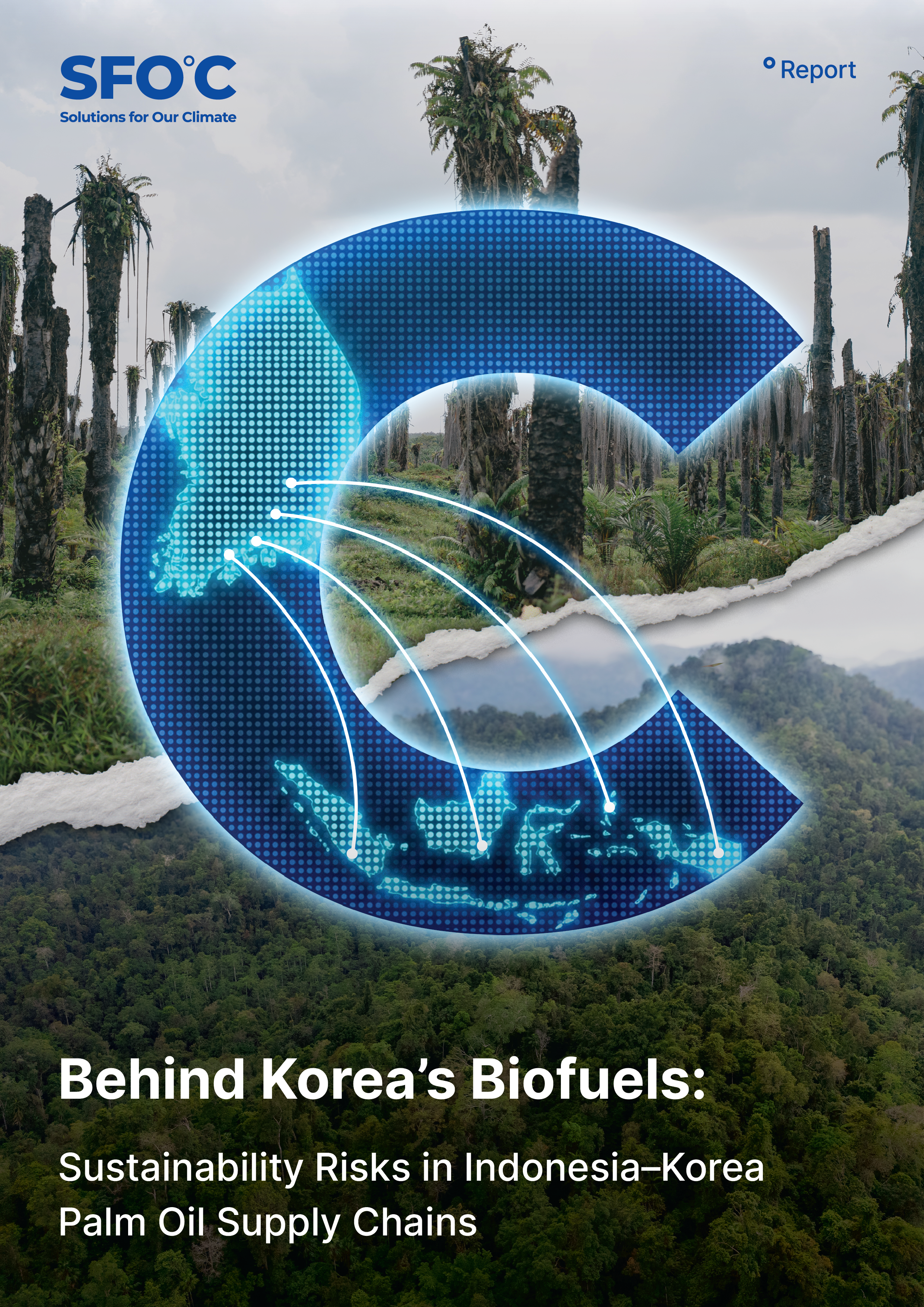 Behind Korea’s Biofuels: Sustainability Risks in Indonesia–Korea Palm Oil Supply Chains