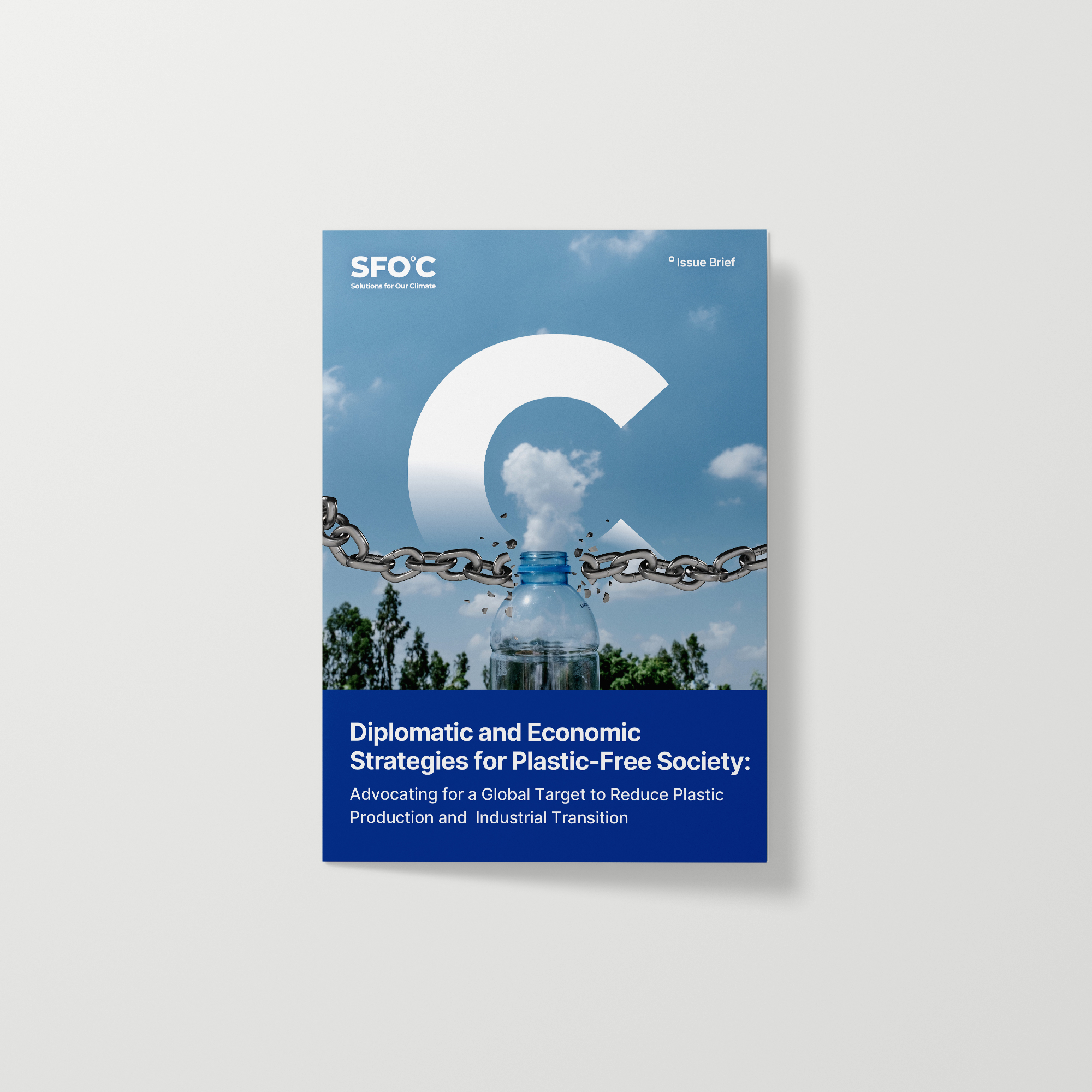 Diplomatic and Economic Strategies for "Plastic-Free Society"