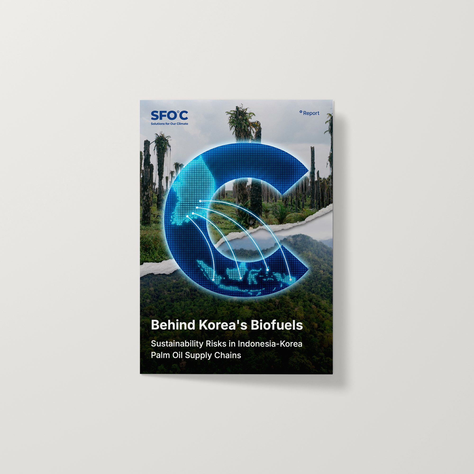 Behind Korea’s Biofuels: Sustainability Risks in Indonesia–Korea Palm Oil Supply Chains