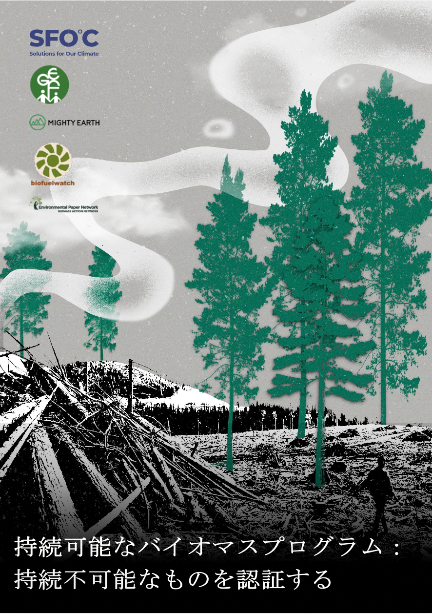 持続可能なバイオマスプログラム：持続不可能なものを認証する