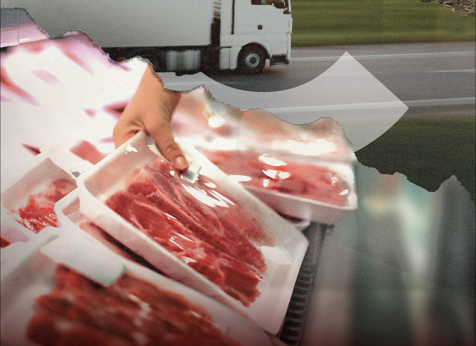 고기, 농장에서 매장까지: 국내 육류 소비의 전 과정 탄소발자국 분석