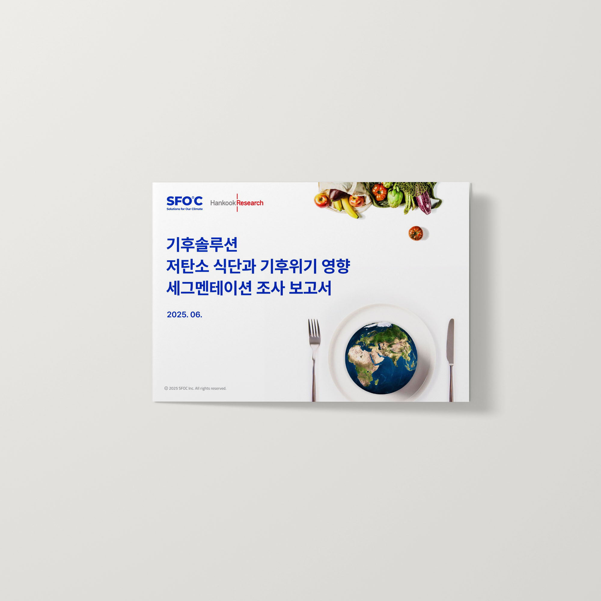 세그멘테이션 조사 보고서: 저탄소 식단과 기후위기 영향 
