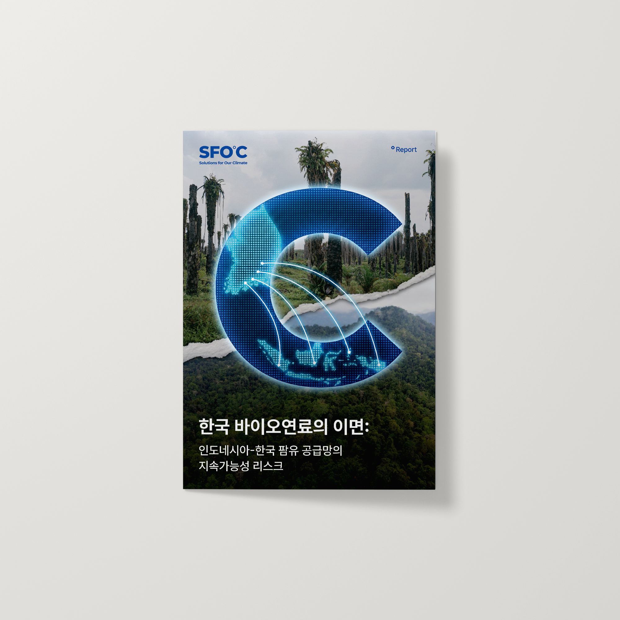 한국 바이오연료의 이면: 인도네시아-한국 팜유 공급망의 지속가능성 리스크