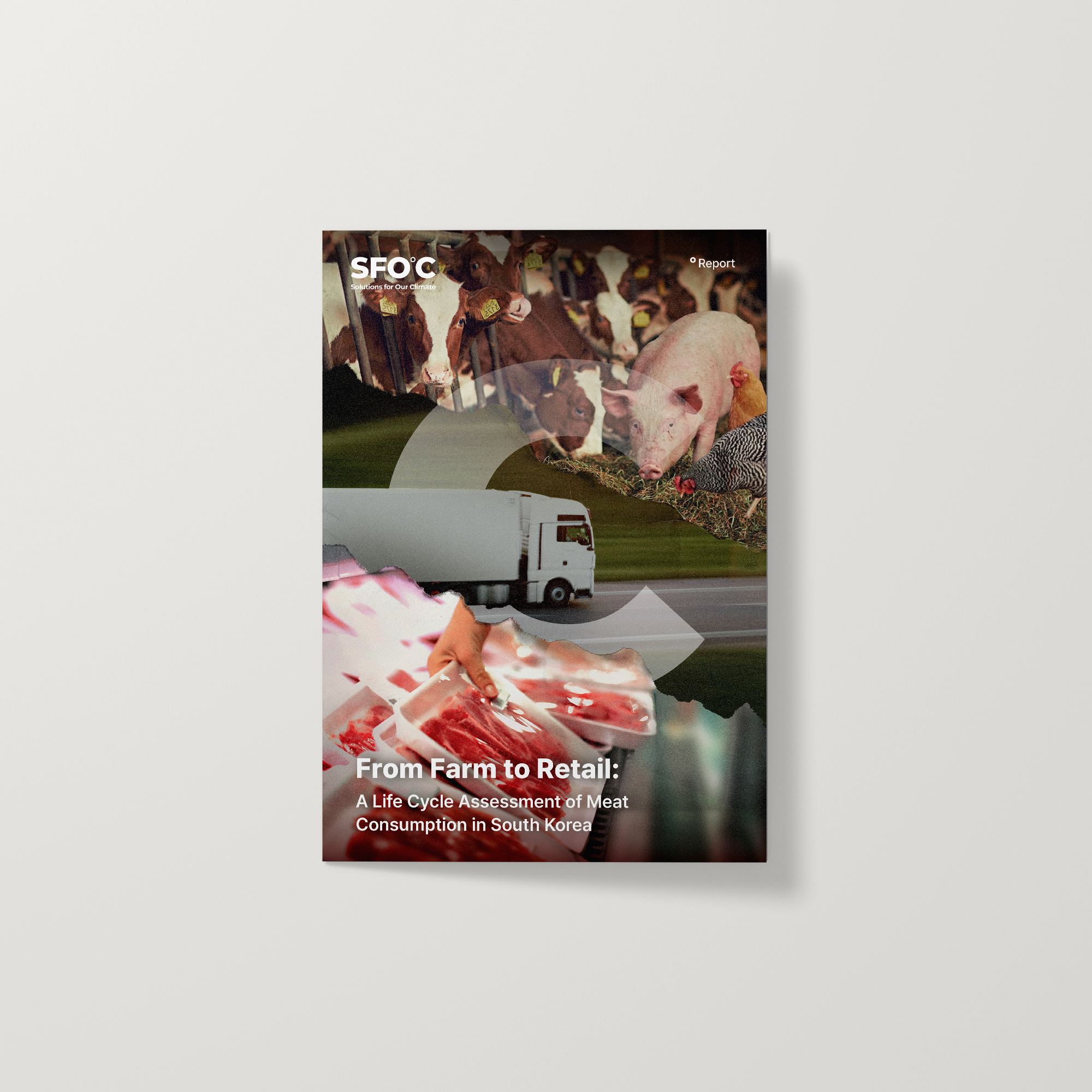 From Farm to Retail: A Life Cycle Assessment of Meat Consumption in South Korea