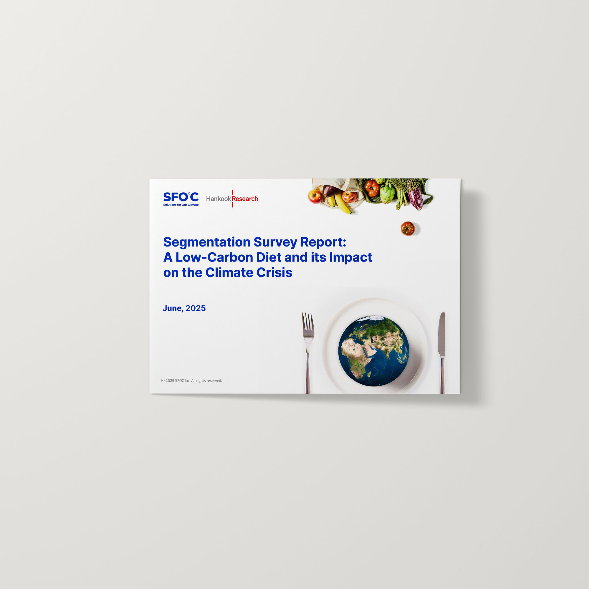 Segmentation Survey Report: A Low-Carbon Diet and its Impact on the Climate Crisis