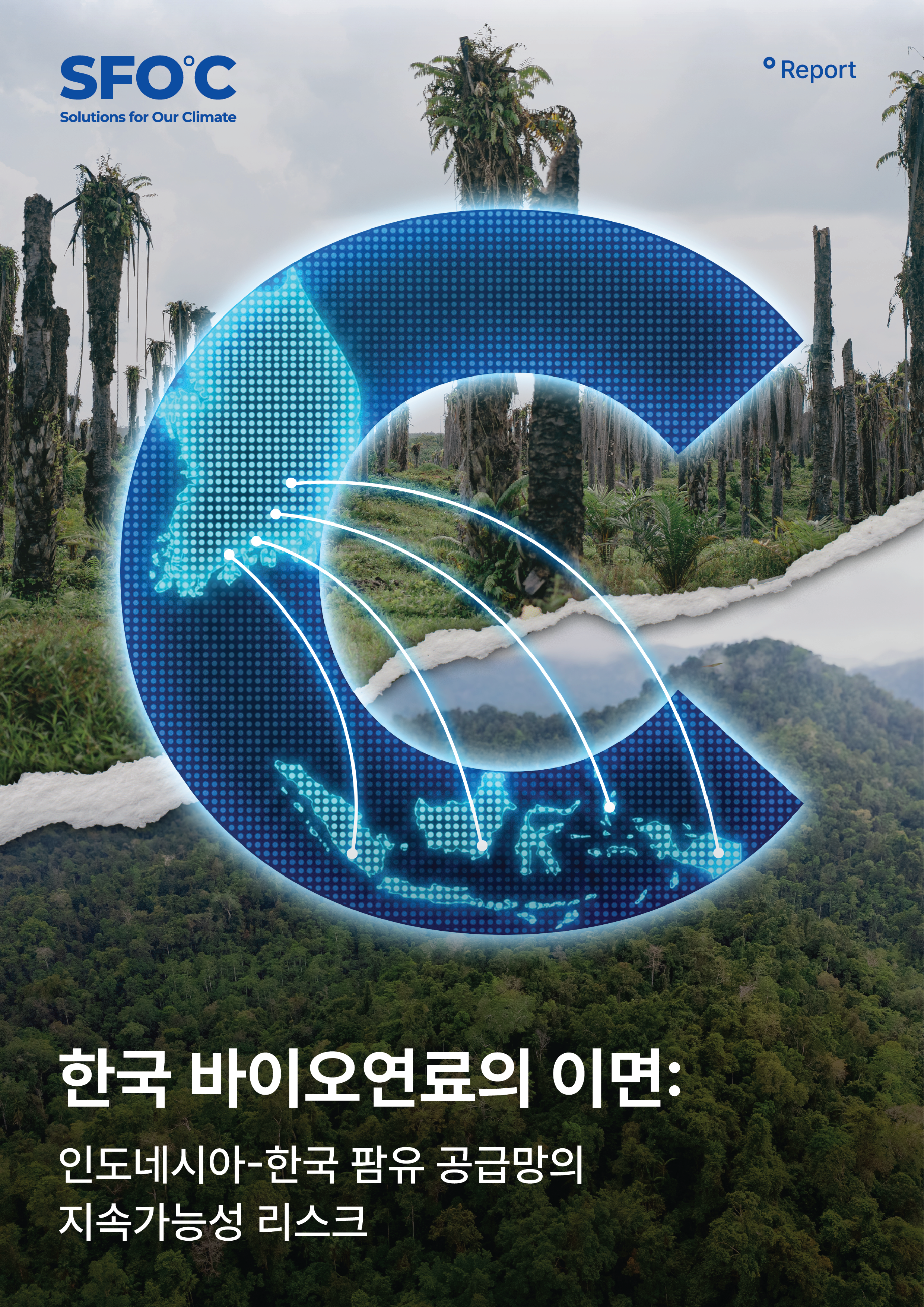 한국 바이오연료의 이면: 인도네시아-한국 팜유 공급망의 지속가능성 리스크