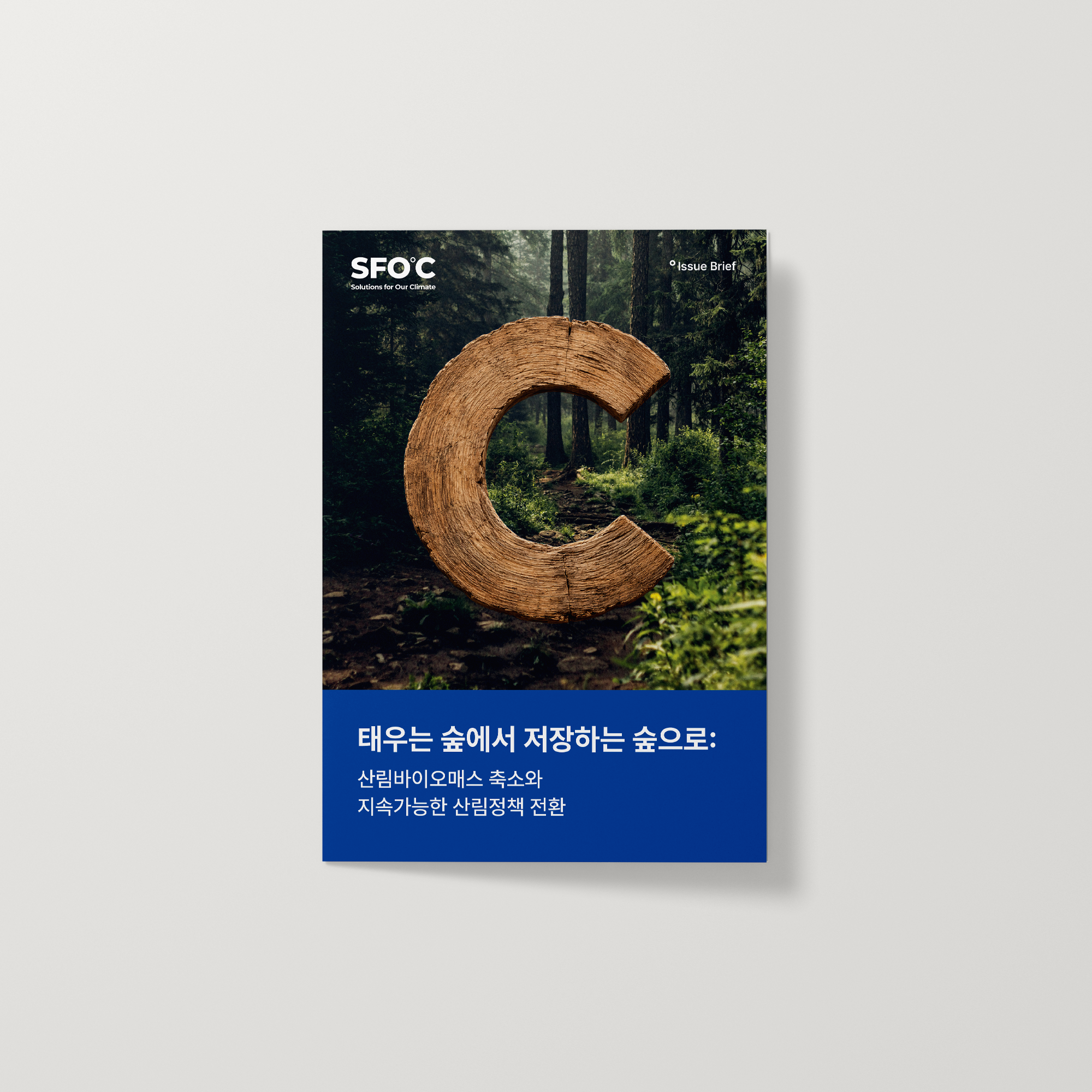 태우는 숲에서 저장하는 숲으로 :  산림바이오매스 축소와  지속가능한 산림정책 전환