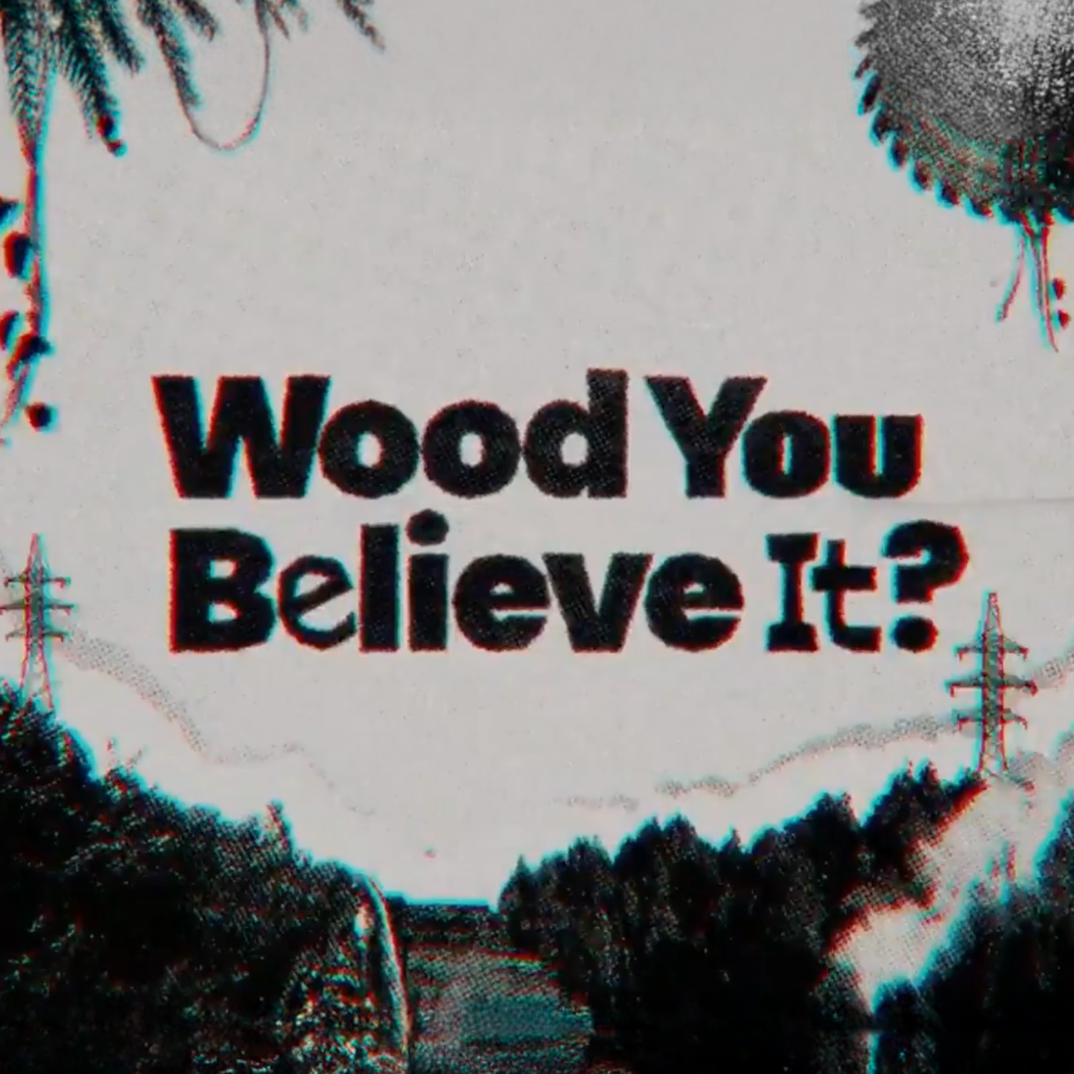 <Wood You Believe It?> 다큐멘터리 상영회에 초대합니다